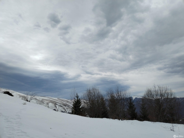 IMG_20231202_085400