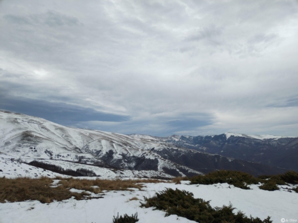 IMG_20231202_090603