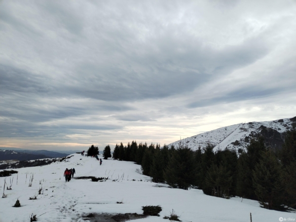 IMG_20231202_091225
