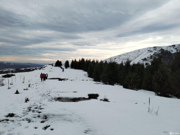 IMG_20231202_091225