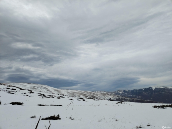 IMG_20231202_091247
