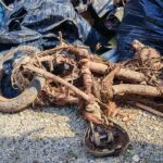 Planina ne sme da bude deponija – 80 učesnika sakupilo 270 džakova smeća